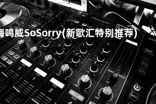 海鸣威-So Sorry(新歌汇特别推荐)