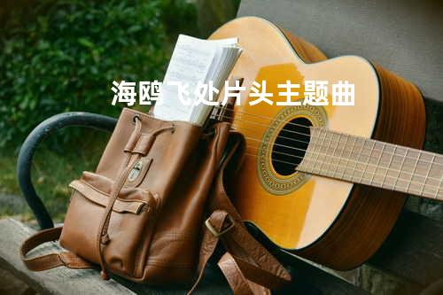 海鸥飞处片头主题曲