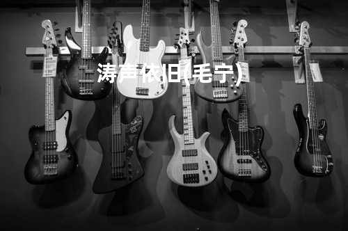 涛声依旧 (毛宁)