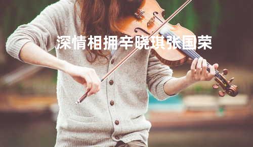 深情相拥 - 辛晓琪&张国荣