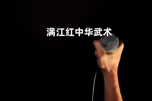 满江红中华武术