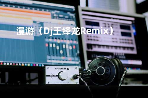漫游(Dj王绎龙Remix)