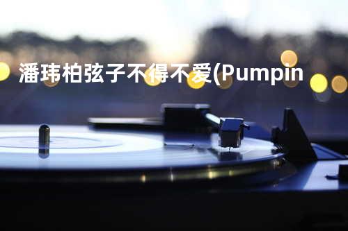 潘玮柏&弦子-不得不爱 (Pumpin