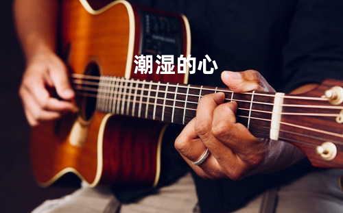 潮湿的心