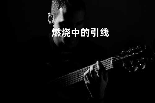 燃烧中的引线