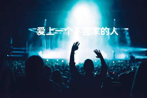 爱上一个不回家的人