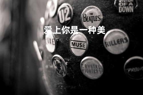 爱上你是一种美