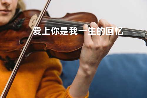 爱上你是我一生的回忆