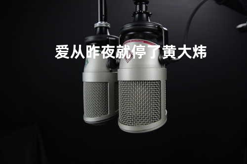 爱从昨夜就停了 黄大炜