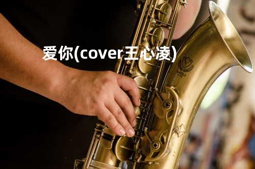 爱你 (cover: 王心凌)