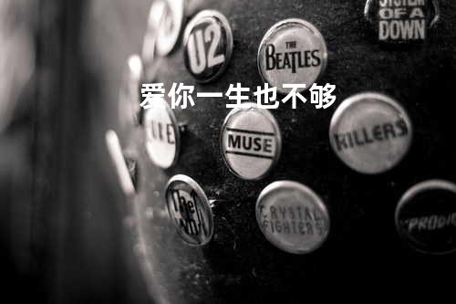 爱你一生也不够