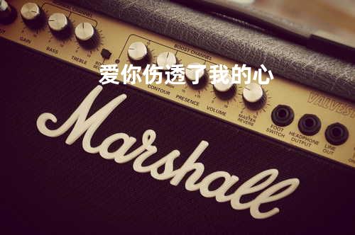 爱你伤透了我的心