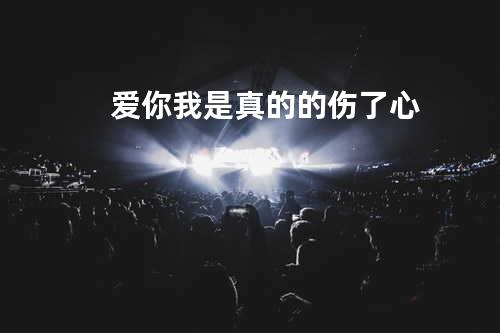 爱你我是真的的伤了心