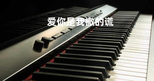 爱你是我撒的谎