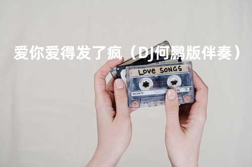 爱你爱得发了疯(DJ何鹏版伴奏)