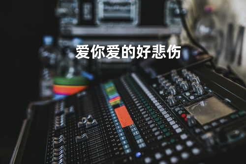 爱你爱的好悲伤