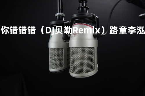 爱你错错错(DJ贝勒Remix) - 路童&李泓滢