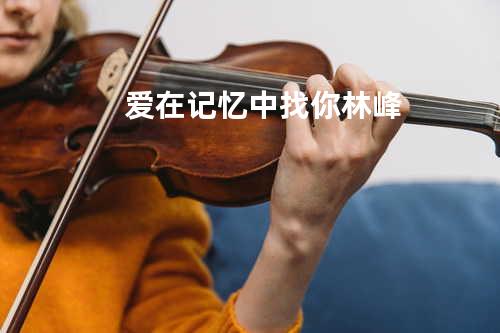 爱在记忆中找你-林峰