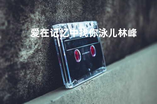 爱在记忆中找你 - 泳儿/林峰