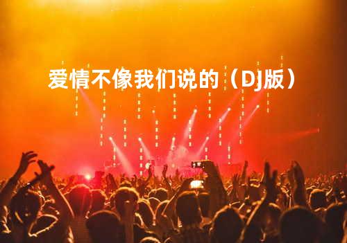 爱情不像我们说的(DJ版)