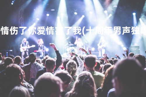 爱情伤了你爱情害了我(十周年男声独唱纪念版)