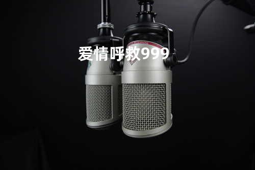 爱情呼救999