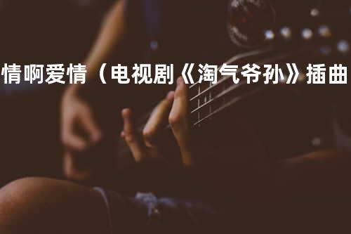 爱情啊爱情(电视剧《淘气爷孙》插曲) - 毛泽少