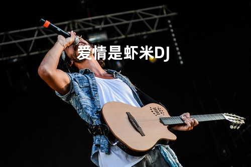 爱情是虾米 DJ