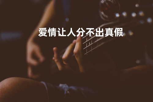 爱情让人分不出真假