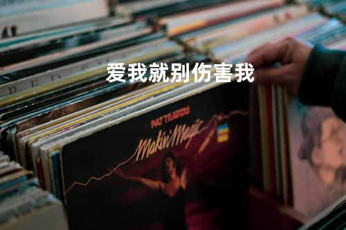 爱我就别伤害我