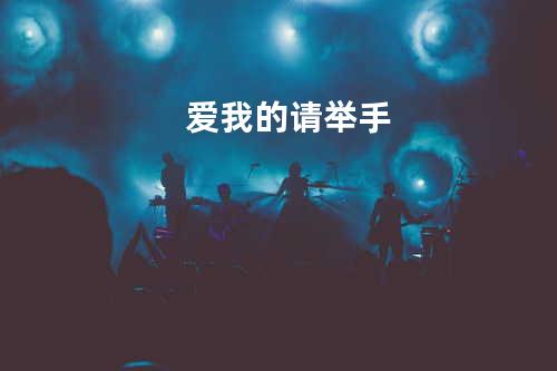 爱我的请举手