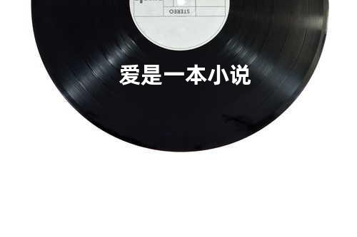 爱是一本小说