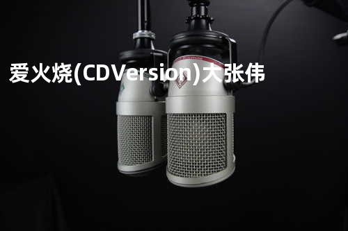 爱火烧(CD Version) - 大张伟