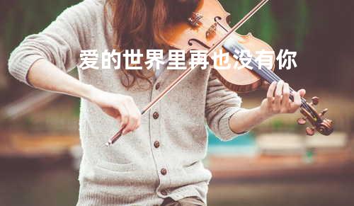 爱的世界里再也没有你