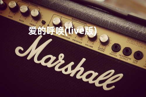 爱的呼唤 (live版)