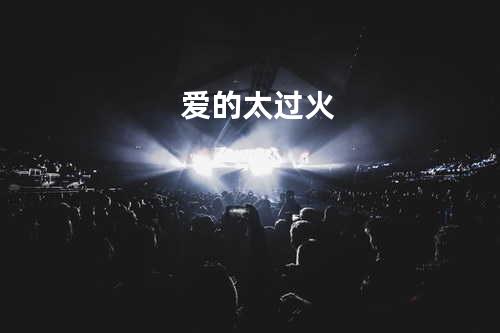 爱的太过火