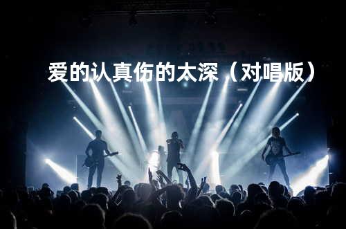 爱的认真伤的太深(对唱版)