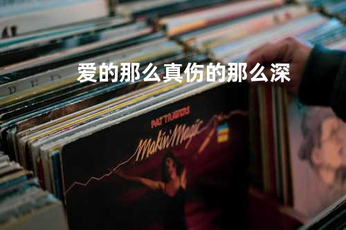 爱的那么真伤的那么深