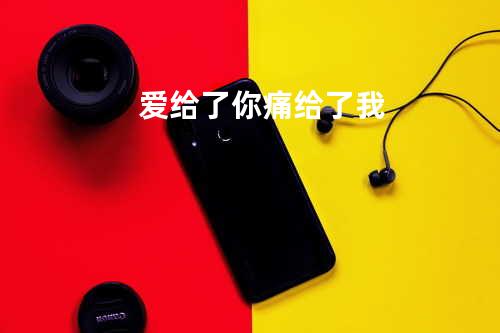 爱给了你痛给了我