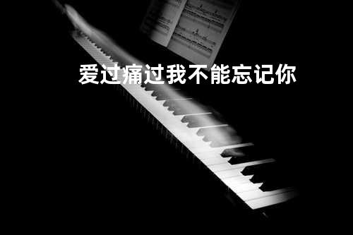 爱过痛过我不能忘记你
