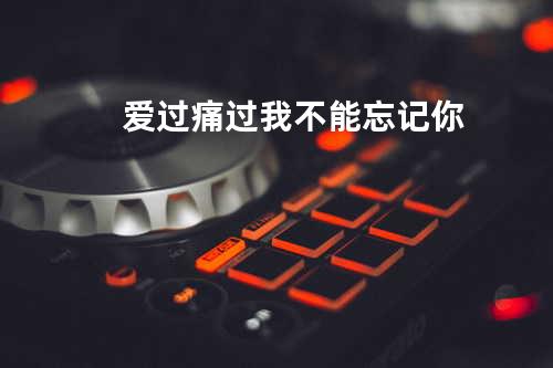 爱过痛过我不能忘记你