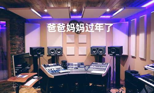 爸爸妈妈过年了