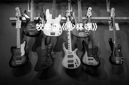 牧羊曲《少林寺》