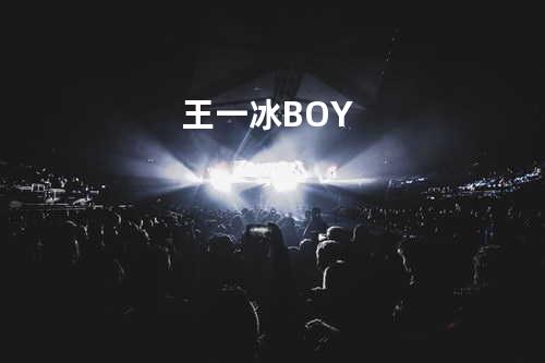 王一冰 BOY