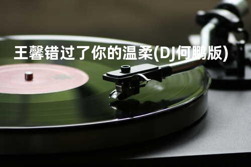 王馨 - 错过了你的温柔 (DJ何鹏版)