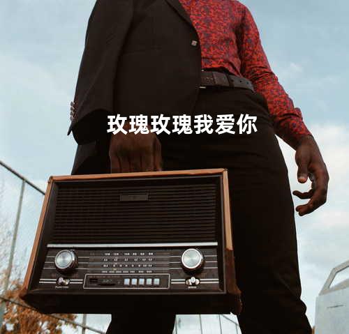 玫瑰玫瑰我爱你