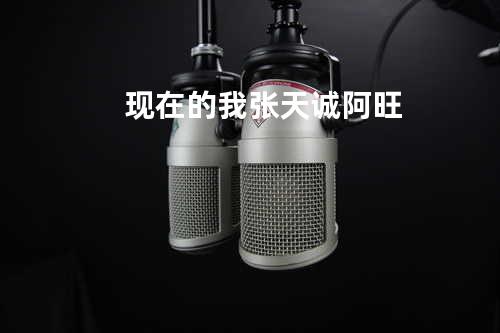 现在的我 - 张天诚&阿旺