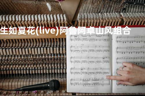 生如夏花(live) - 阿鲁阿卓&山风组合