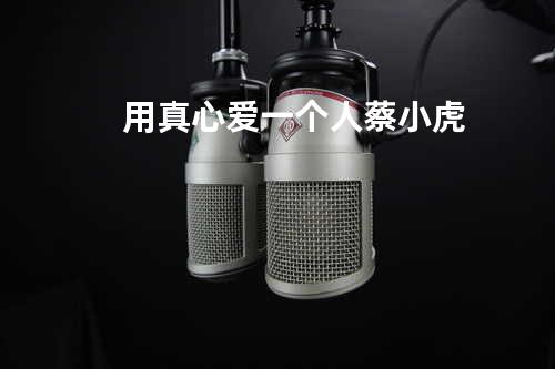 用真心爱一个人 - 蔡小虎