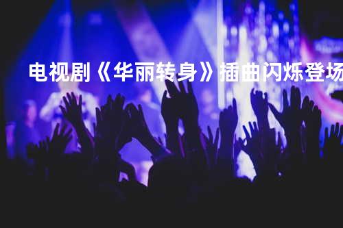 电视剧《华丽转身》插曲 闪烁登场